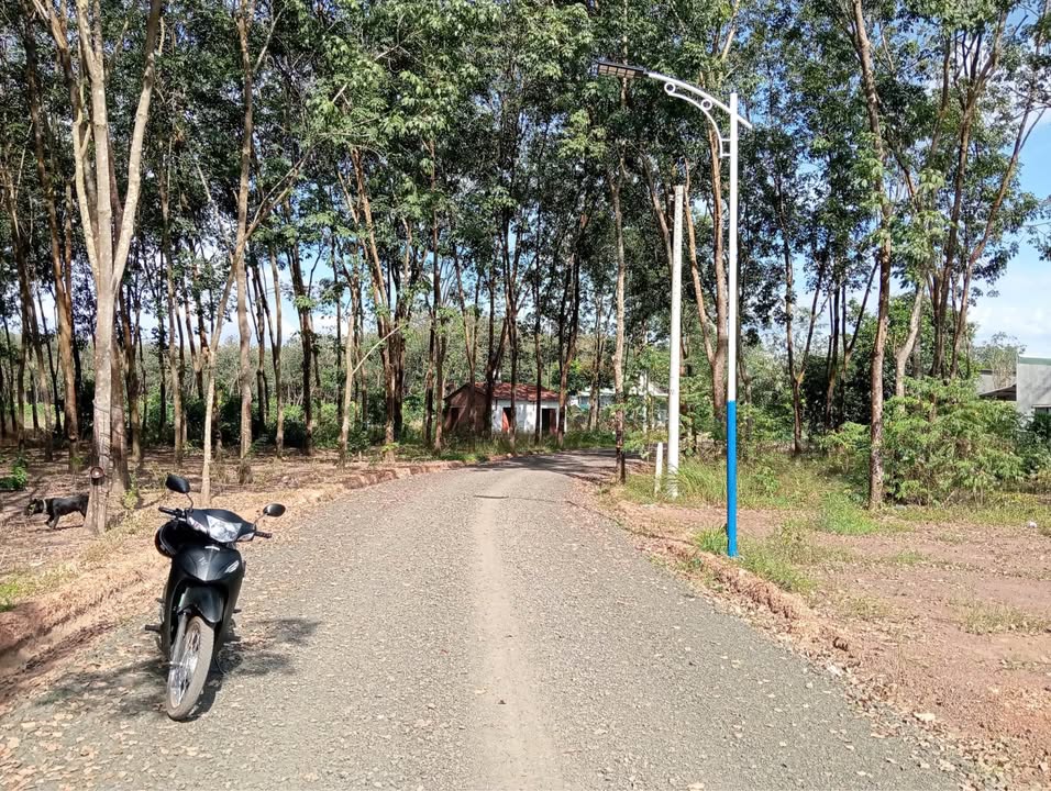 Đất nền Tân Thành, Đồng Xoài 150m² giá chỉ 300 triệu - Đầu tư sinh lời dễ dàng!