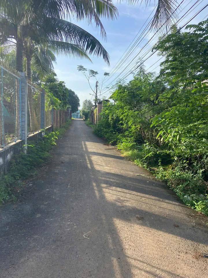 Đất thổ cư 132m² mặt tiền nhựa tại Vĩnh An - Giá chỉ 1.15 tỷ