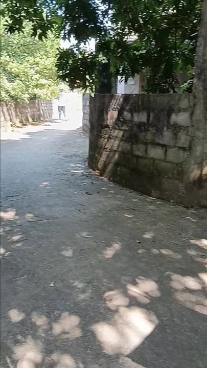 Đất Ngọc Lũ, Bình Lục, Hà Nam 1000m² giá 1 tỷ - Cơ hội đầu tư hấp dẫn!