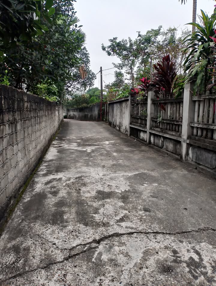 Đất nền Tam Sơn Sông Lô 440m² giá nhỉnh tỷ - Mặt tiền 10m, nhanh tay kẻo lỡ!