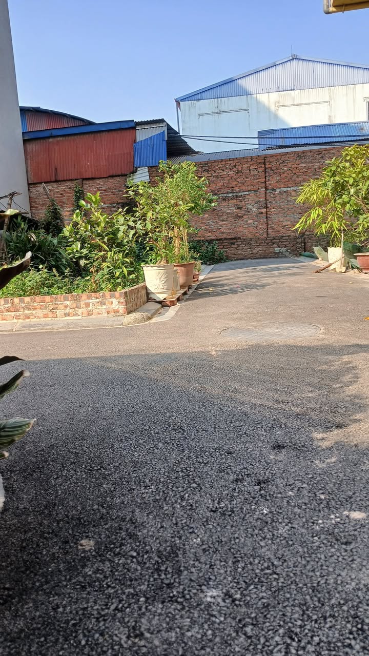 Đất lô góc 2 mặt tiền Kim Chung, Đông Anh 67m² - Ô tô đỗ thoải mái!