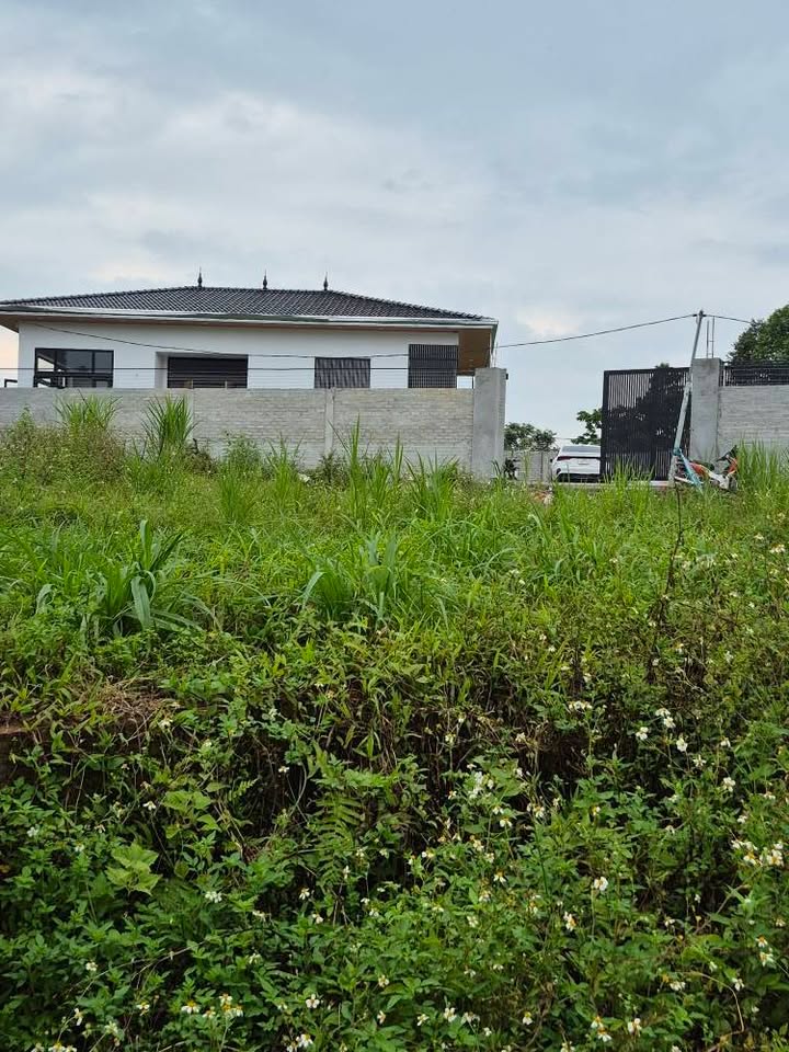 Đất ở nông thôn Trung Giã, Sóc Sơn 275m² giá 1.65 tỷ - Lô góc đường thông thoáng!