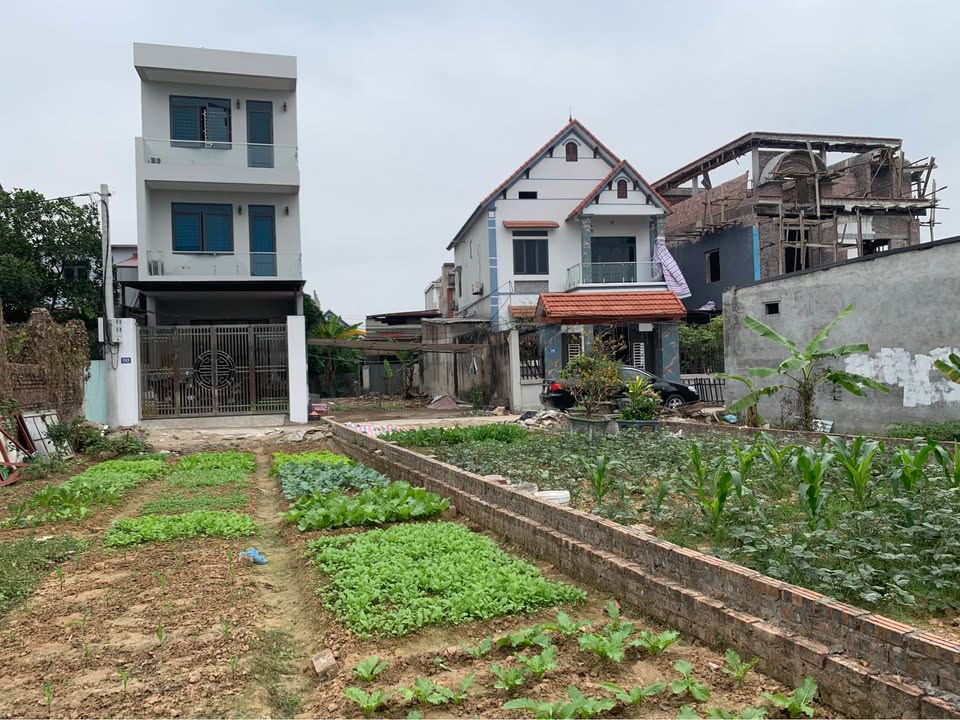 Đất nền Yên Ninh, Nội Bài 116m² giá thỏa thuận - Tiềm năng đầu tư lớn!