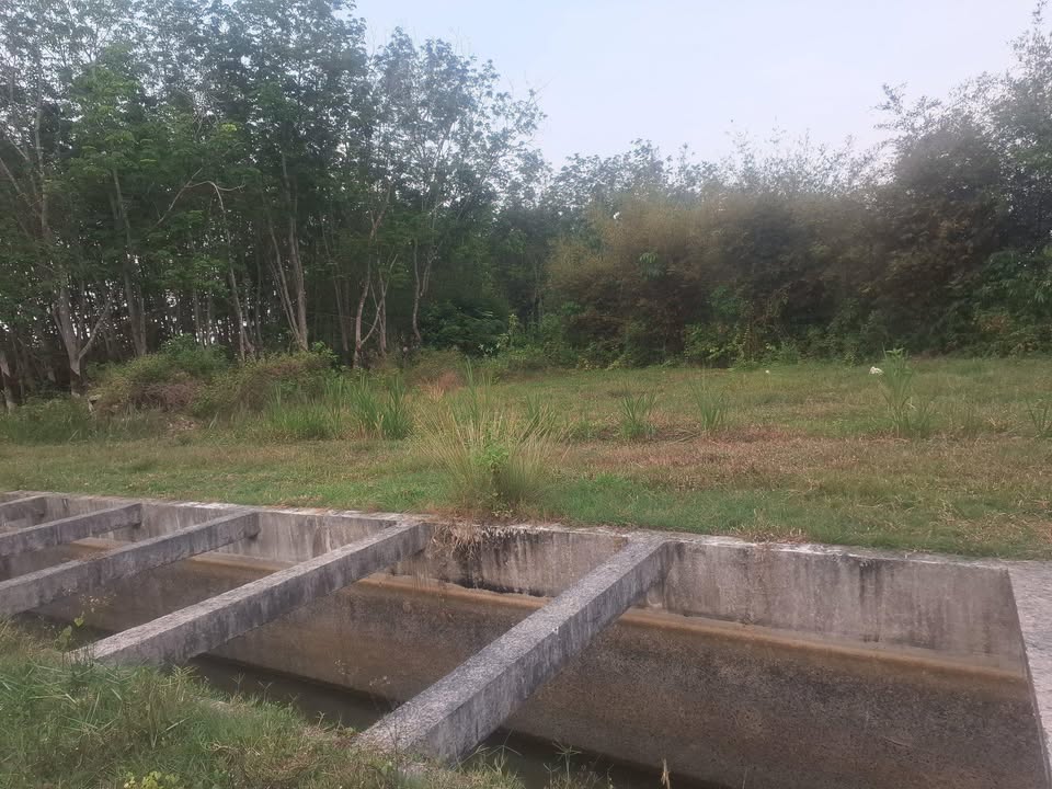 Đất nền 708m² tại ấp Đồng Lớn, Củ Chi - Giá chỉ 850 triệu VND!