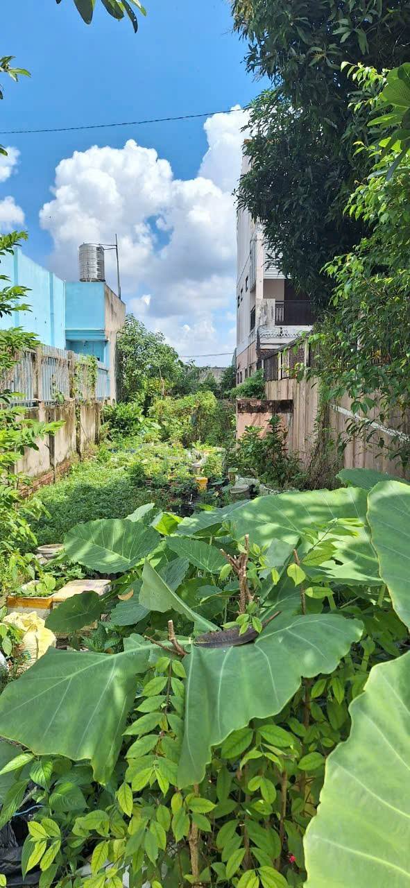 Đất thổ cư Hóc Môn 165m² giá 4.7 tỷ - Khu dân cư hiện hữu!