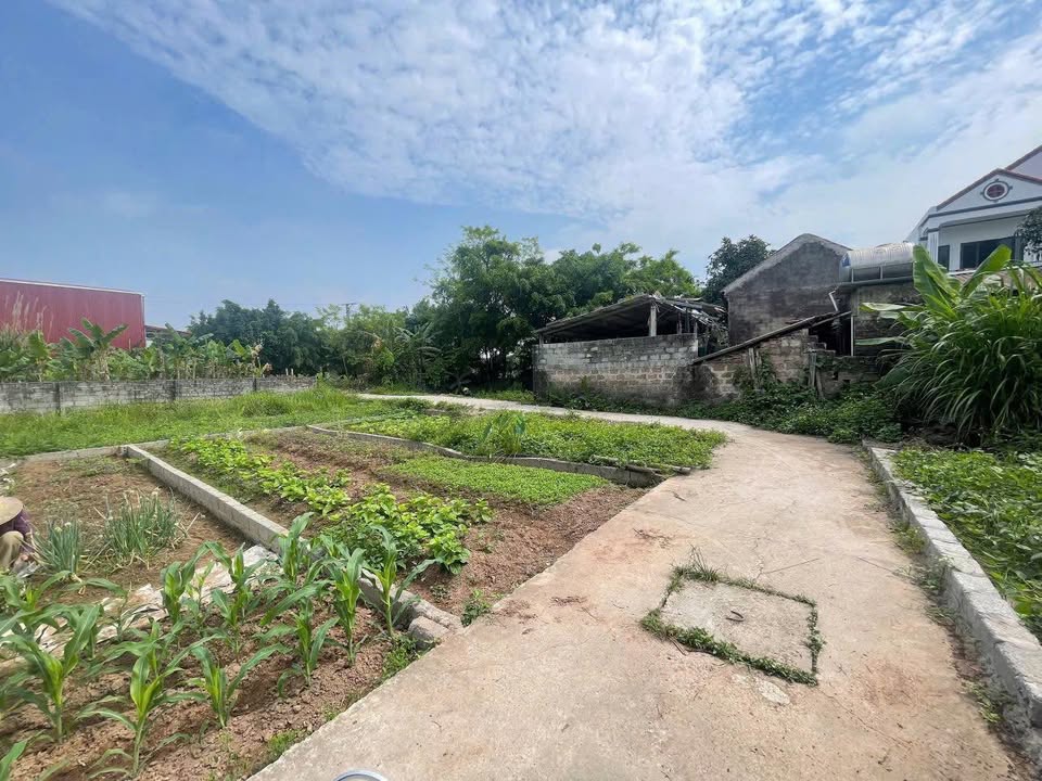 Đất nền Hồng Vân Thường Tín 42.8m² giá 3 tỷ - Đầu tư sinh lời lý tưởng!