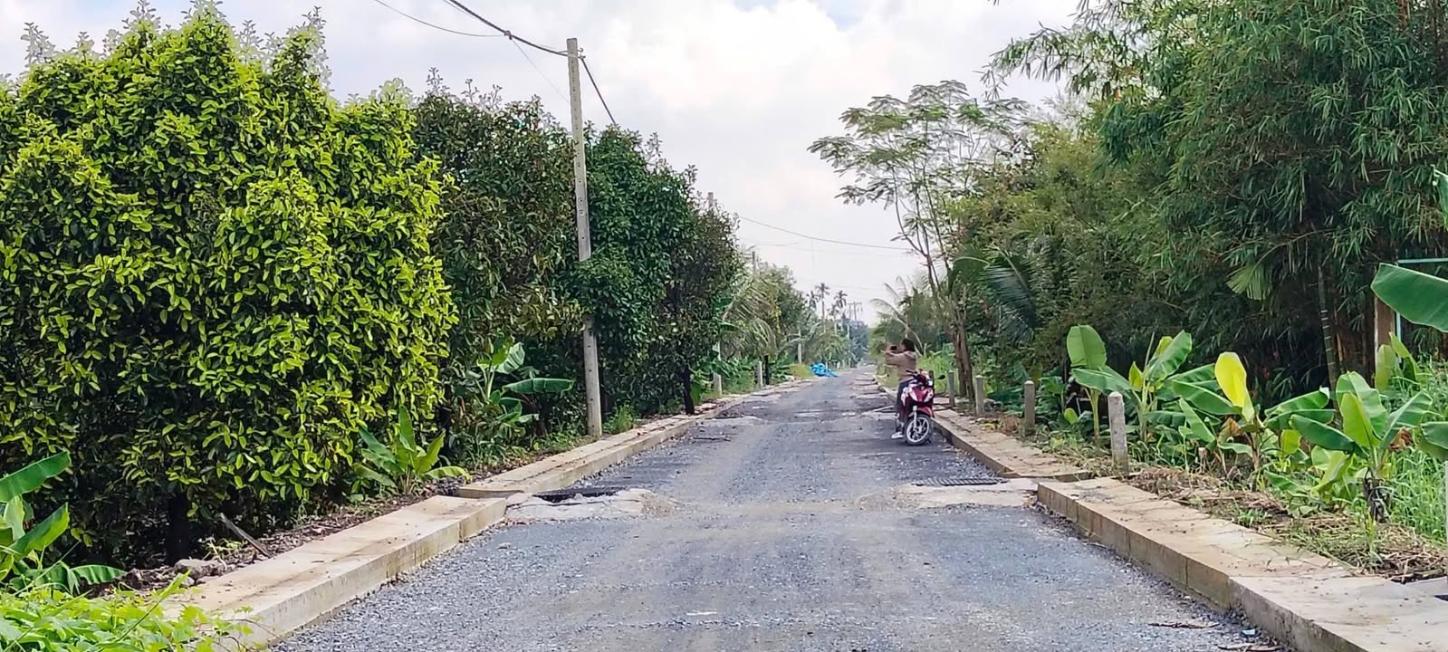 Bán vườn măng cụt Bình Mỹ Củ Chi 1.000m² giá 4,3 tỷ - Đầu tư sinh lời ngay!