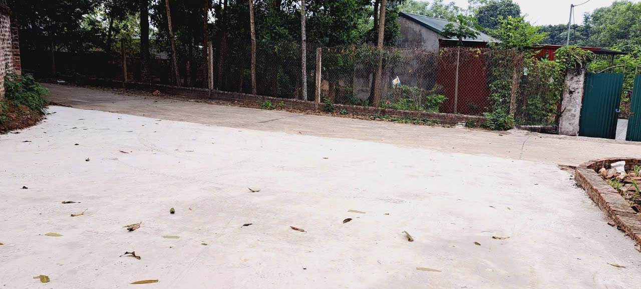 Đất nền Đông Lâu, Thụy An 400m² - Chính chủ, giá tốt thương lượng!