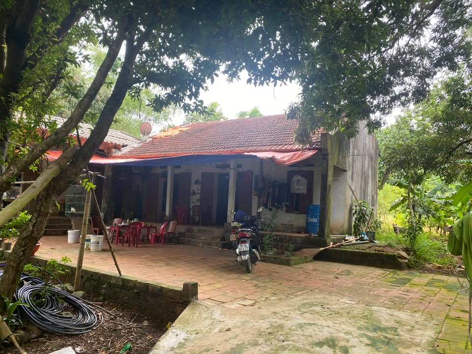 Đất nền đấu giá tại xã Cẩm Châu, huyện Cẩm Thủy 2796m² - Cơ hội đầu tư hấp dẫn!