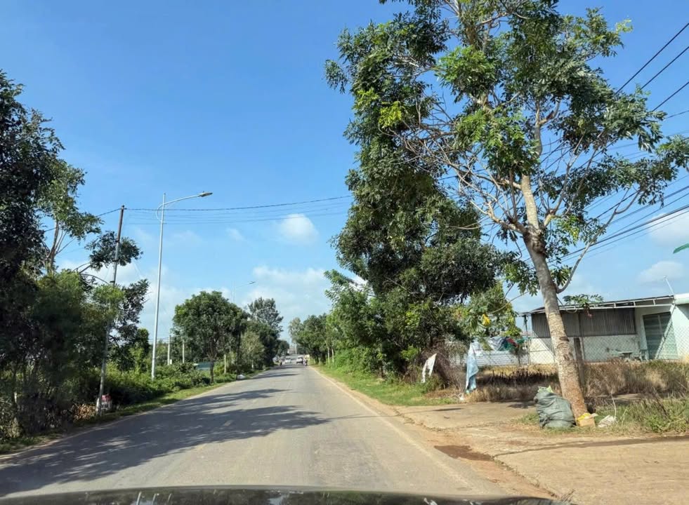 Đất nền Tân Hội, Đức Trọng 277m² giá 2.7 tỷ - Cơ hội đầu tư tuyệt vời!