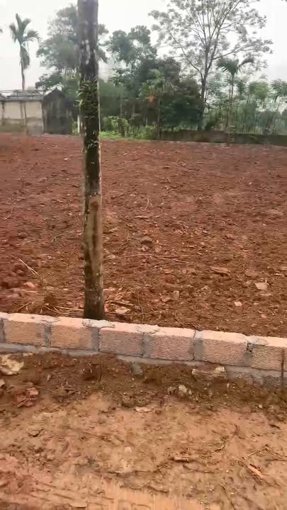 Đất nền Lương Sơn 1370m² giá chỉ 5 triệu/m² - Đầu tư sinh lời cao!