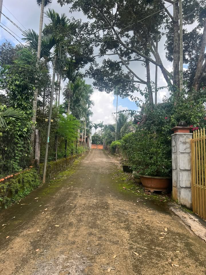 Đất thổ cư Cư Kuin 122m² giá chỉ 7x triệu - Lô độc quyền không có lô thứ hai!