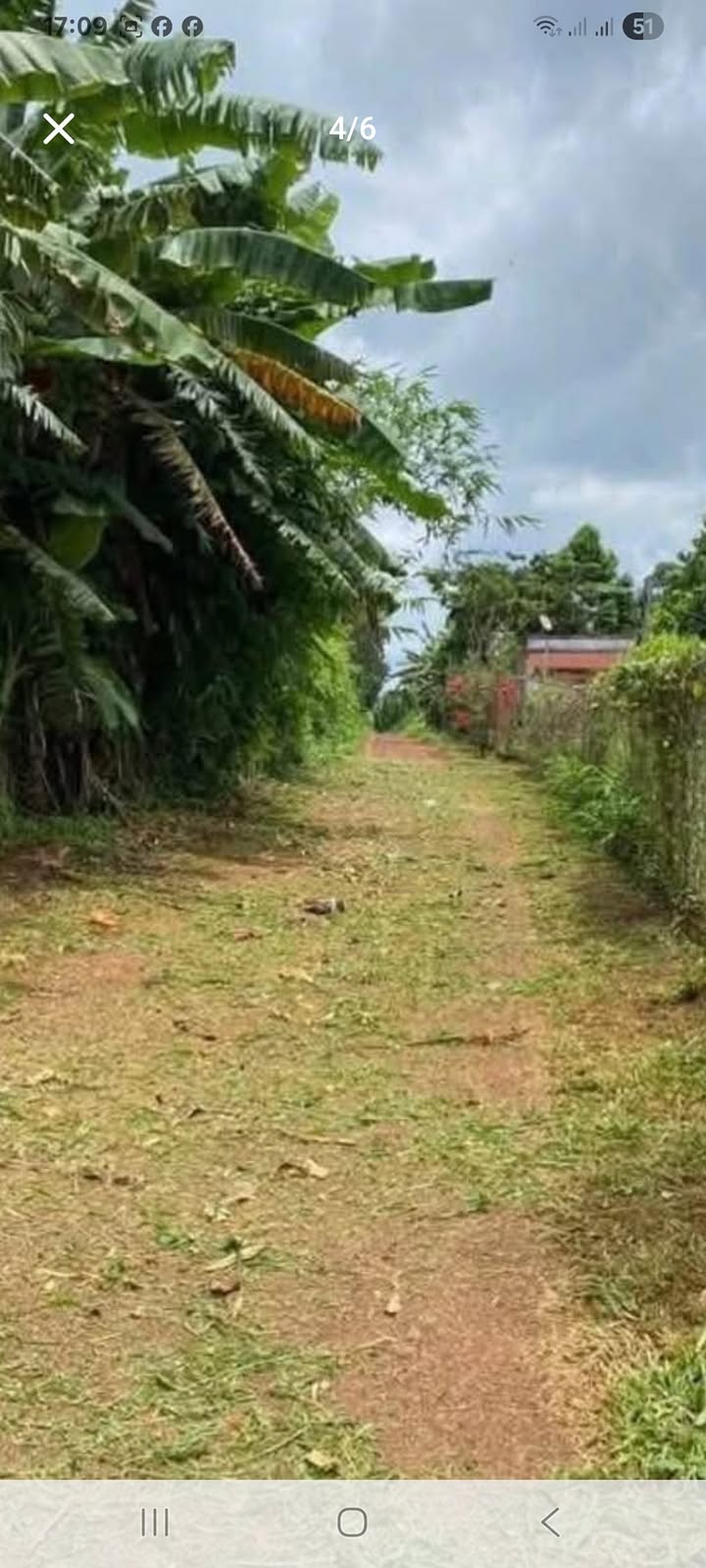 Farm 5,39 sào ở Cư Kuin, Đắk Lắk giá 1,6 tỷ - Mặt tiền rộng ô tô vào tận nơi!