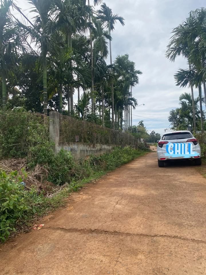 Đất thổ cư 2,4 sào tại xã Ea Ktur, giá chỉ 3,45 tỷ - Đầu tư sinh lời ngay!