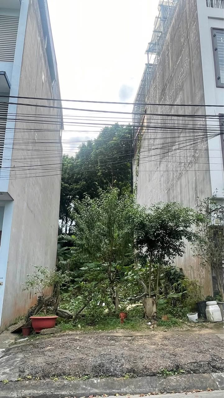 Đất Bán Gấp Đường Lê Duy Hưng, TP Lào Cai 87m² - Giá Tốt Hiếm Có!