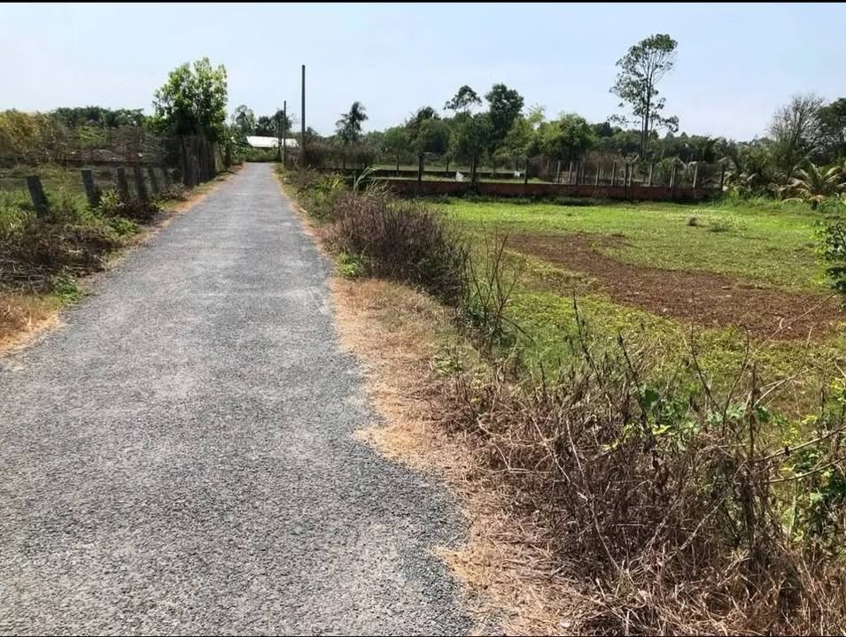 Đất nền mặt tiền Đường Sâm Bua, xã Lương Hoà, 390m² chỉ 575 triệu - Cơ hội đầu tư tuyệt vời!