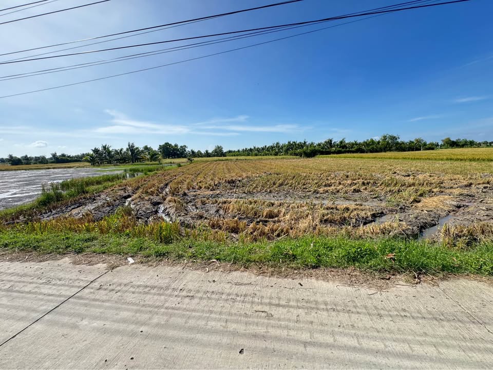 Đất đẹp 2420m² tại Hòa Lợi, Châu Thành - Ô tô đến đất chỉ 10.89 tỷ!