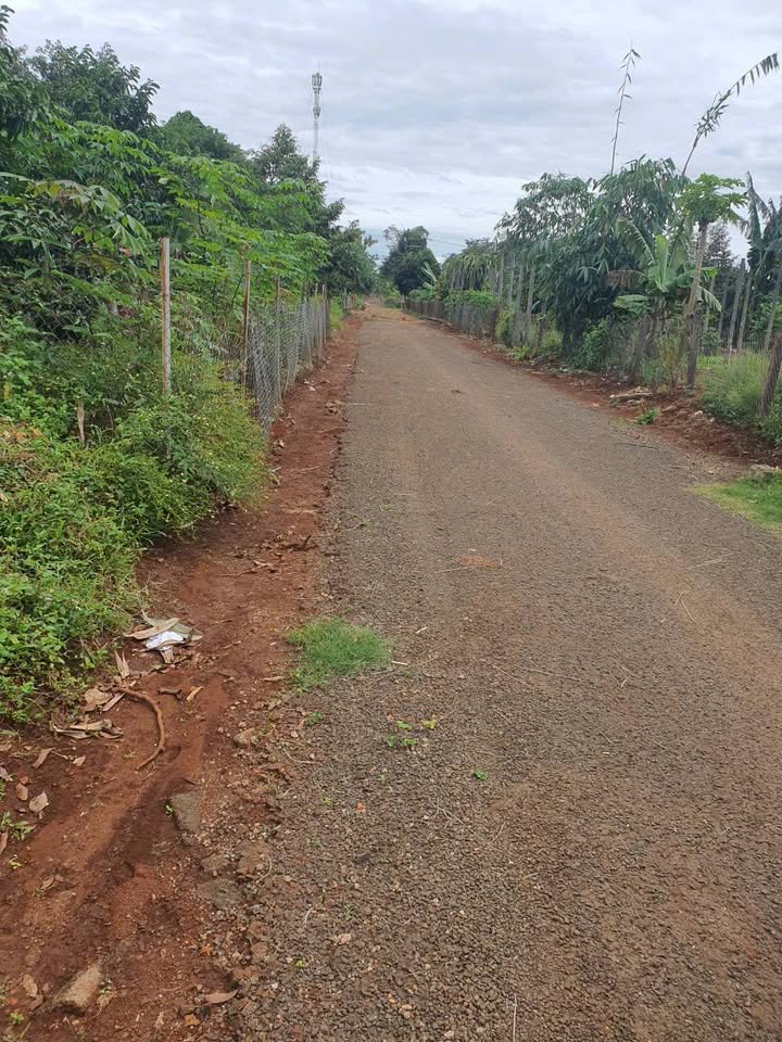 Đất bán mặt tiền trường Ngô Mây, Ia Grai, 260m² - Giá thỏa thuận hấp dẫn!