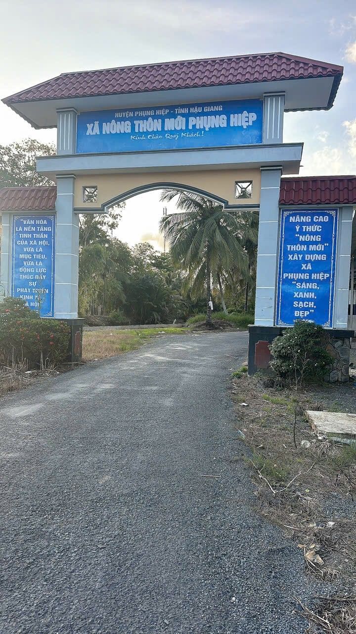 Đất liếp trồng mía 6500m² xã Phụng Hiệp - Giá chỉ 1.3 tỷ