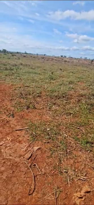 Đất đỏ Bazan 23ha tại Đak Trôi, Mang Yang - Giá chỉ 1 tỷ/ha