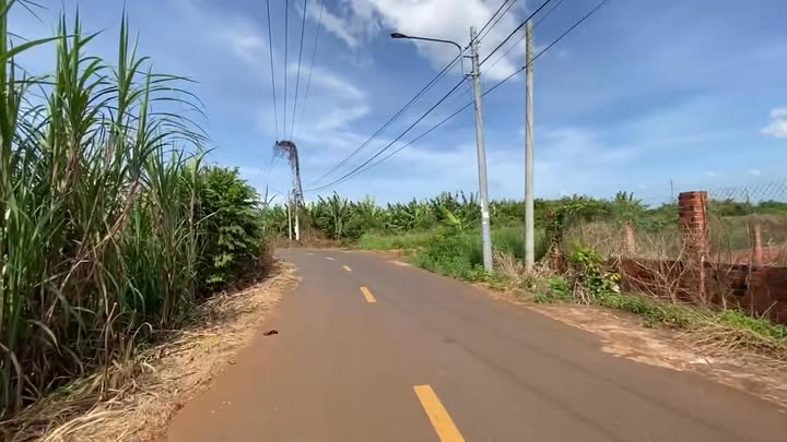 Đất nền 1000m² Đường Lê Thị Hồng Gấm, Thị Trấn Đất Đỏ, chỉ 3.1 tỷ - Đầu tư sinh lời ngay!