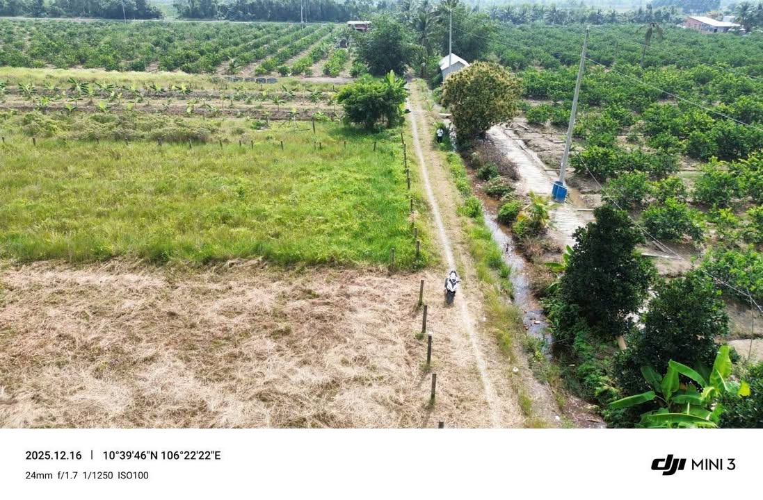 Đất nền Tân Thành Thủ Thừa 1000m² giá 550 triệu - Sổ đỏ chính chủ