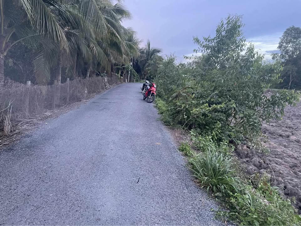 Đất nền Xã Phú Lộc Tam Bình 510m² giá 900 triệu - Sổ đỏ chính chủ, lộ nhựa 3.5m!