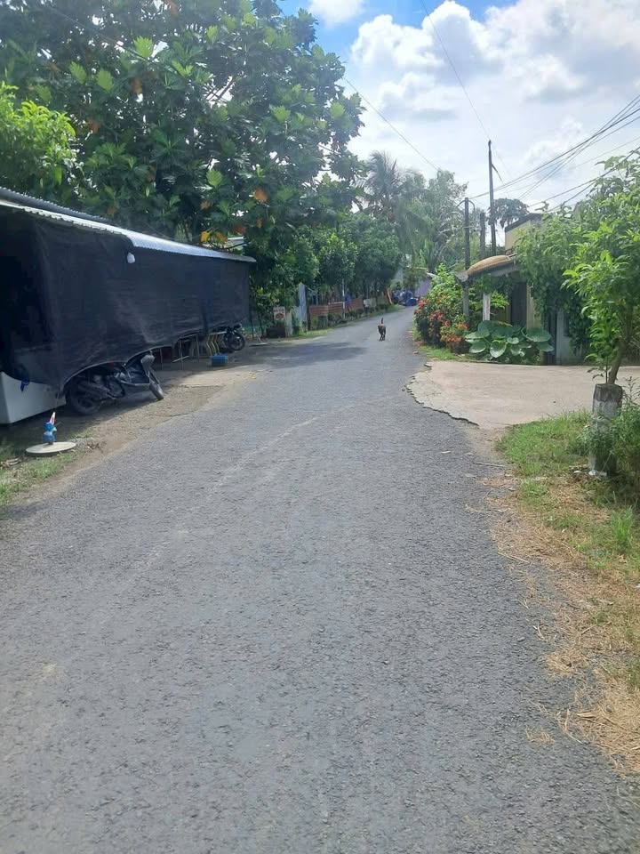 Đất nền thổ cư 110m² phường Tân Hạnh Vĩnh Long chỉ từ 300 triệu - Cơ hội đầu tư hiếm có!