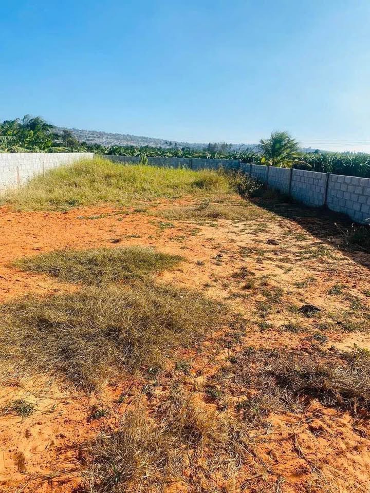 Đất thổ cư Phú Long, Hàm Thuận Bắc 200m² giá 700 triệu - Ô tô tận nơi