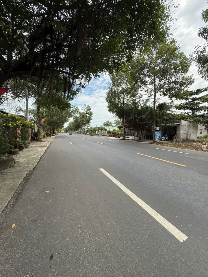 Đất biển Bình Châu, Bà Rịa - Vũng Tàu 1000m² - Đầu tư sinh lời ngay!