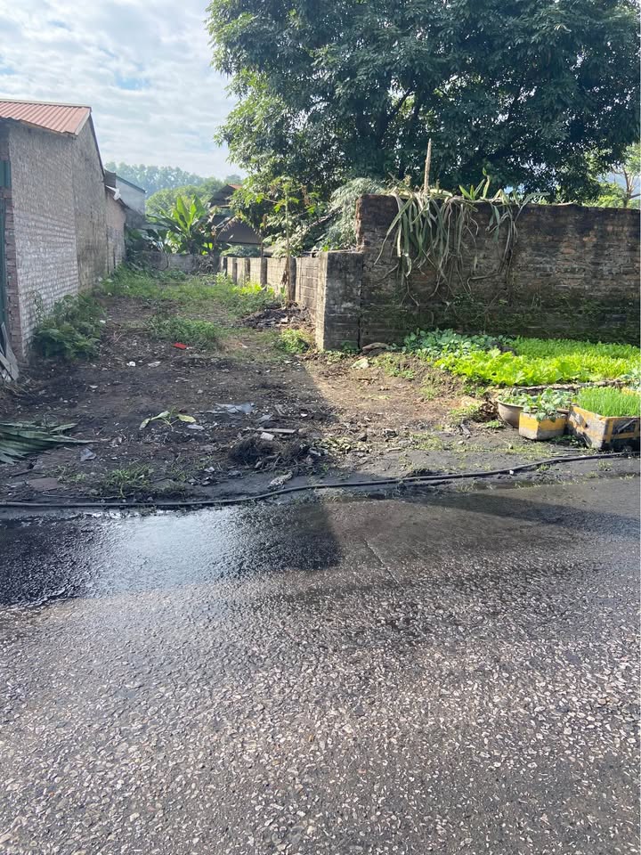 Đất thổ cư Quán Triều 101m² giá 1 tỷ - Đường chính 10m, giao thông thuận lợi!