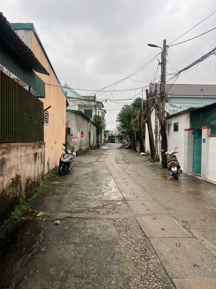 Bán lô đất đẹp đường Tân Hùng, Hưng Lộc 183m² giá 6.1 tỷ - Vị trí đắc địa, dân cư sầm uất!