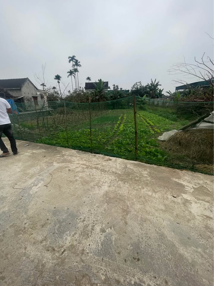 Đất nền Diễn Minh 252m² giá chỉ 1.1 tỷ - Cơ hội đầu tư hấp dẫn!