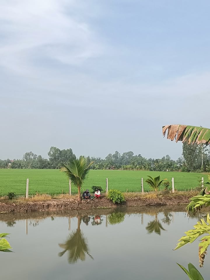 Đất nền Kênh H, Định Thành, 1900m² giá 2.8 tỷ - Tiềm năng sinh lời cao!