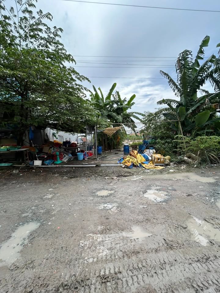 Đất thổ cư 1265m² tại Hội Nghĩa, Tân Uyên - Giá chỉ 7.8 tỷ, đầu tư sinh lời!