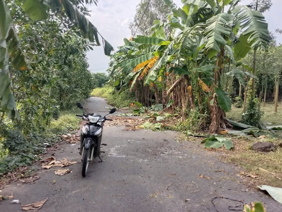 Đất nền 2700m² tại Bình Trung, Châu Đức - Giá chỉ 550 triệu/sào, sẵn sàng đầu tư!