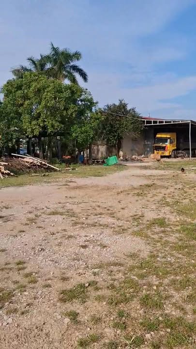 Đất sản xuất kinh doanh 12.851m² tại Rừng Thông, Đông Sơn - Giá chỉ 18 tỷ!