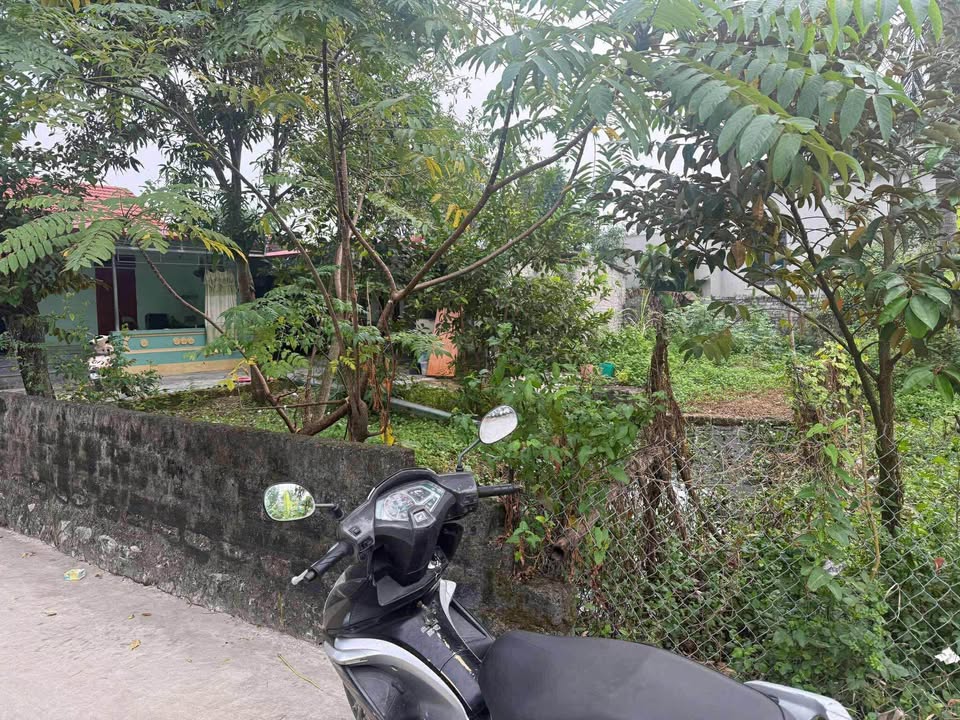 Đất ở đô thị 165,6m² tại Yên Bằng, Đông Quang, Thanh Hóa - Pháp lý rõ ràng, giá tốt!