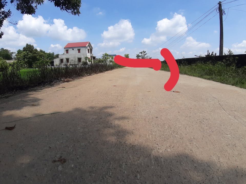 Đất thổ cư thôn 8 Vĩnh Hưng, Vĩnh Lộc 300m² - Đường rộng ô tô vào tận nơi!