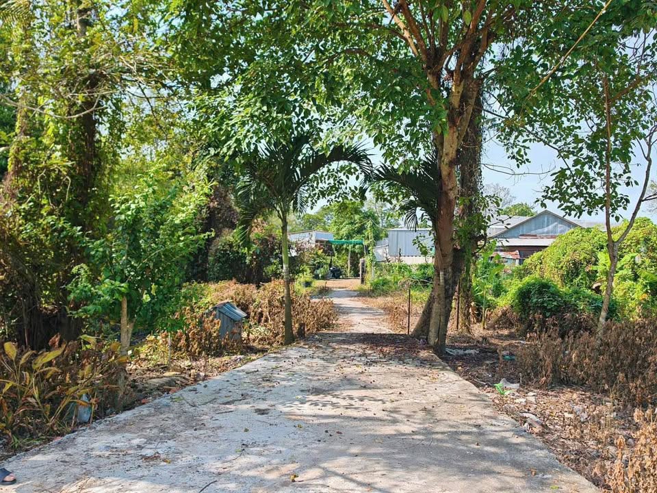 Đất nền 130m² tại Mỹ Hoà, Long Xuyên - Giá chỉ 400 triệu - Đầu tư sinh lời ngay!