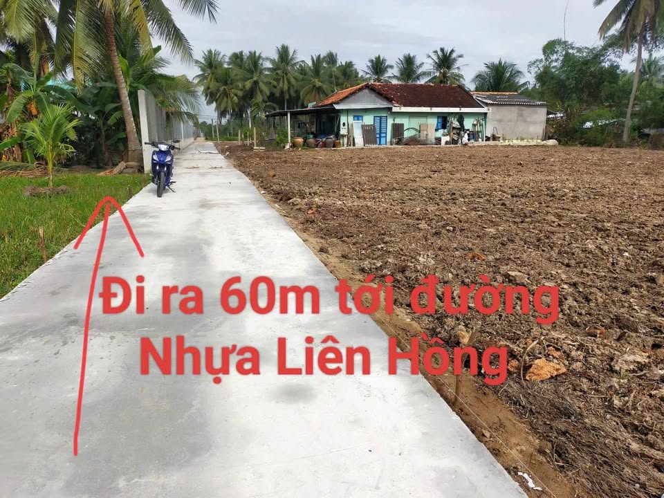 Đất CLN 300m² giá chỉ 360 triệu - Vị trí trung tâm Chợ Gạo, Tiền Giang!