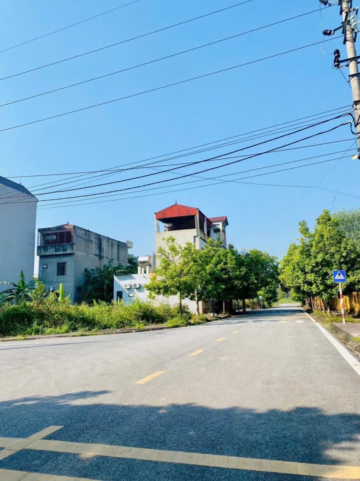 Đất quy hoạch nhà nước Khu 304 Tam Hợp 100m² giá 1.8 tỷ - Đầu tư sinh lời ngay!