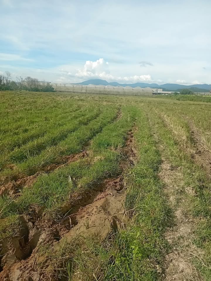 Đất ở thôn Ka Đơn, xã Quảng Lập, 6800m² giá 1.728 tỷ - Sổ hồng riêng, mặt tiền đường 3m!