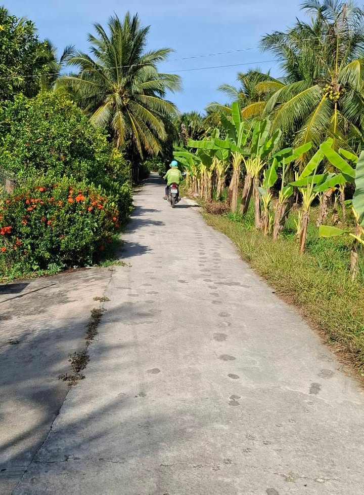 Đất nền mặt tiền đường 12m, diện tích 850m² - Giá 820 triệu, thương lượng ngay!