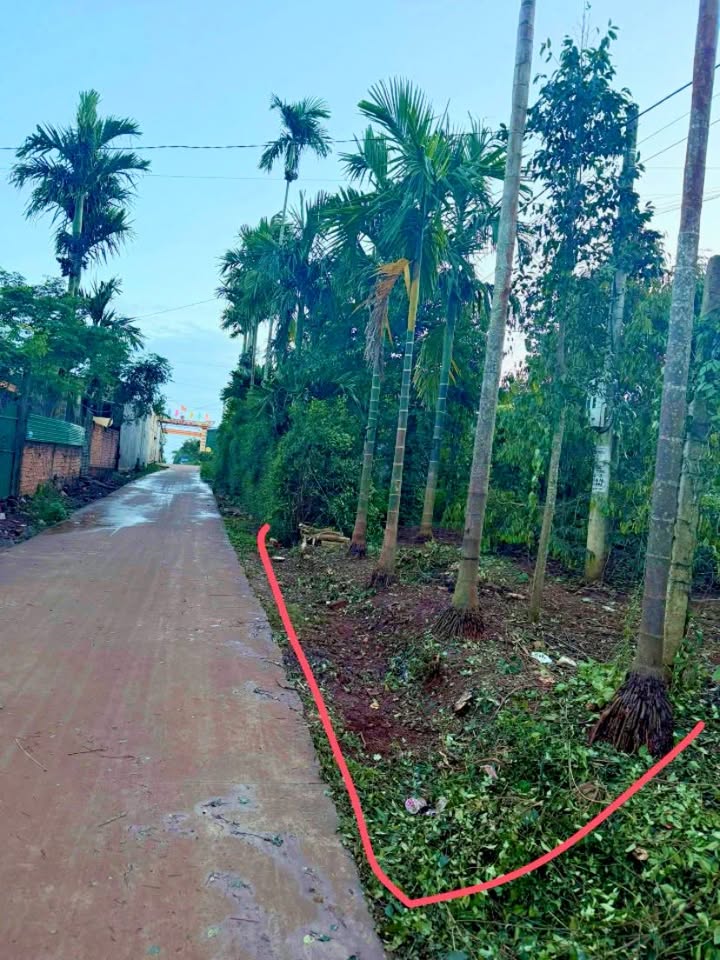 Đất thổ cư xã Phú Xuân, huyện Krông Năng 150m² giá chỉ 600 triệu - Đầu tư sinh lời ngay!