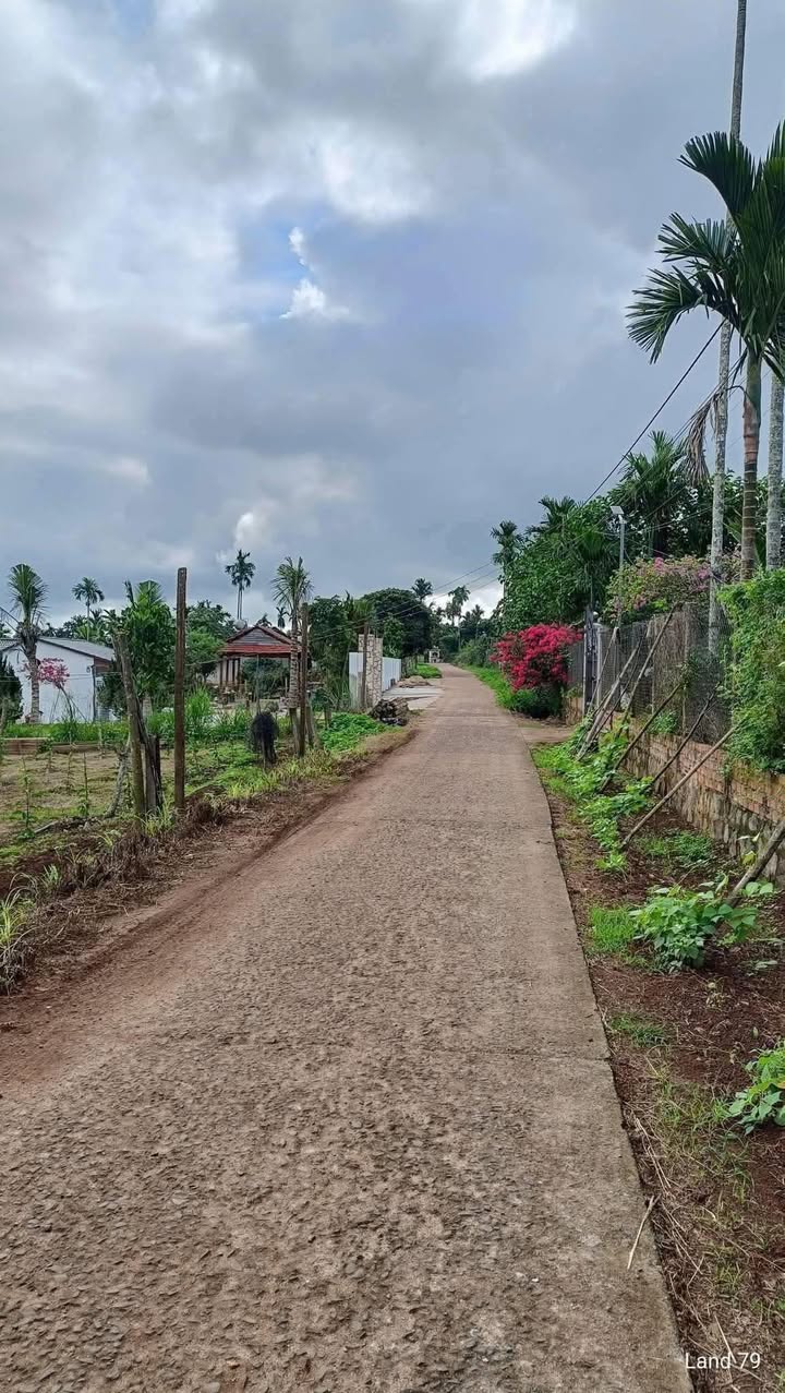 Đất thổ cư Phú Xuân 600m² giá chỉ 80 triệu - Đường thông view đẹp!