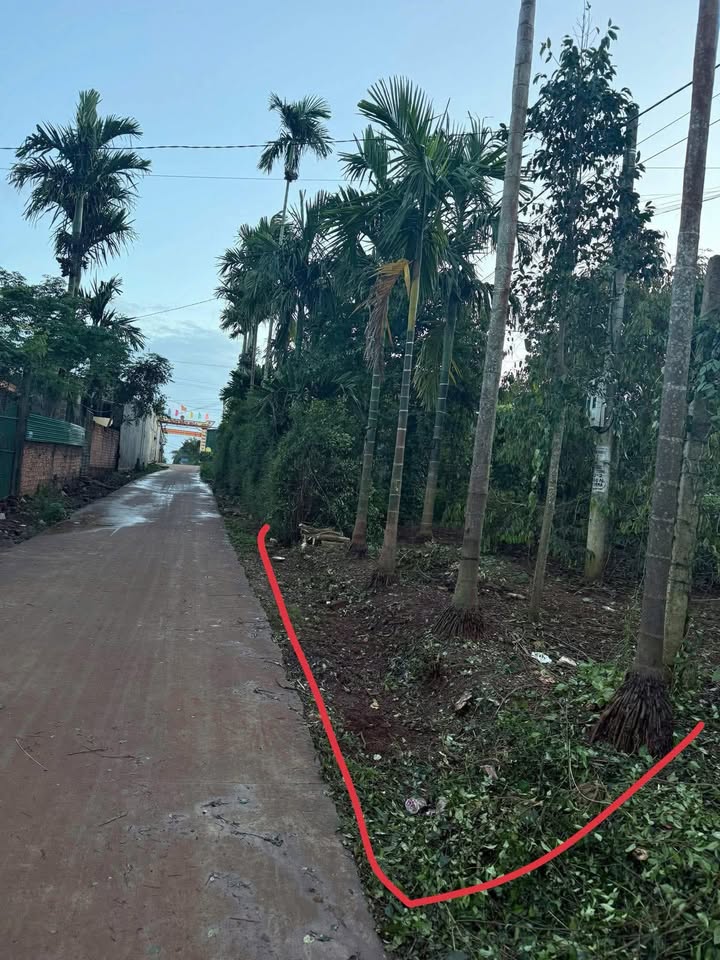 Đất thổ cư Phú Xuân 150m² chỉ 600 triệu - Đầu tư sinh lời ngay!