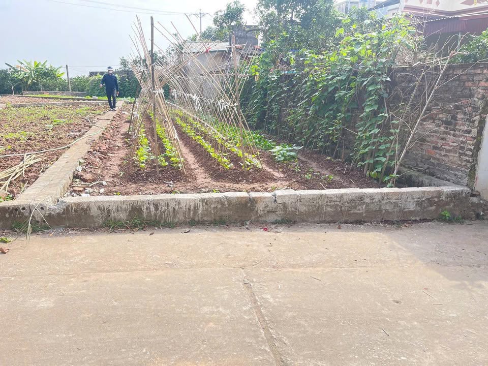 Đất nền Thống Nhất - Thường Tín 112m² giá chỉ 20 triệu - Cơ hội đầu tư tuyệt vời!