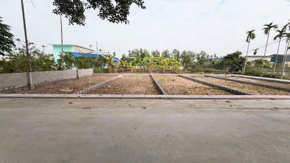 Đất nền An Trường, An Lão, Hải Phòng 67m² giá tốt - Đầu tư sinh lời nhanh!