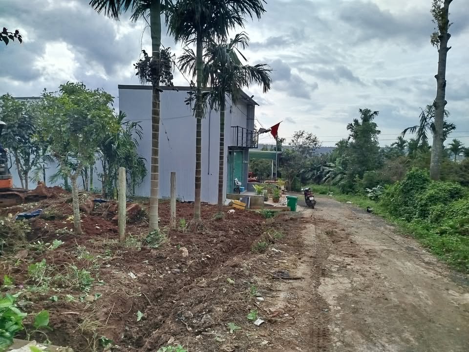 Đất mặt tiền Hồ Tùng Mậu, Buôn Hồ, 462m² - Cơ hội đầu tư hấp dẫn!